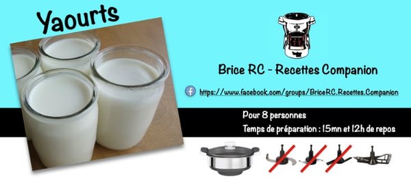 Yaourts avec le panier externe au Companion