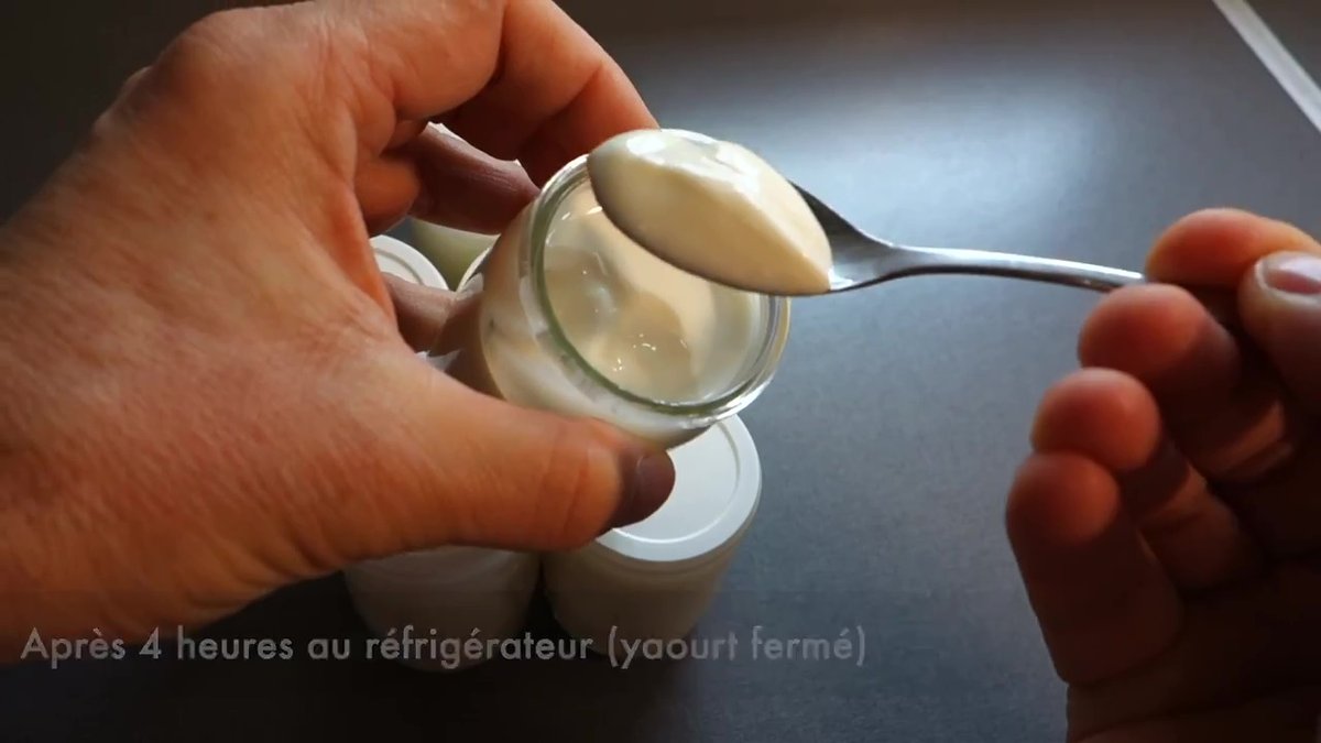 Yaourts avec une texture lisse et crémeuse au Companion