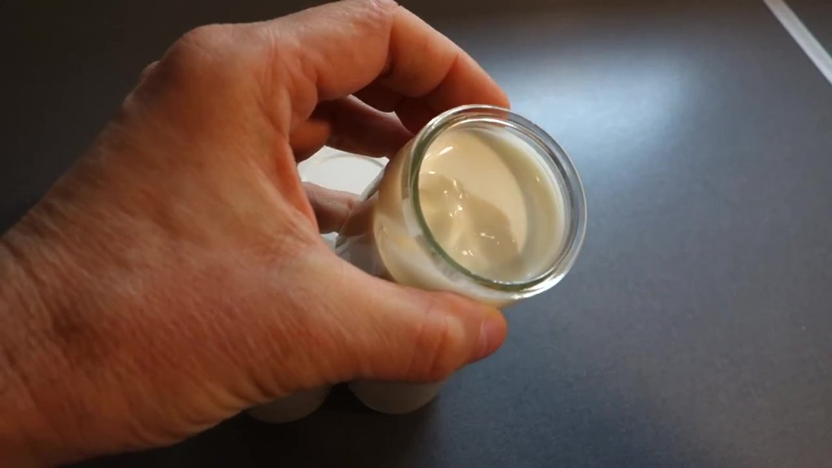 Yaourt ferme au Companion avec une texture crémeuse