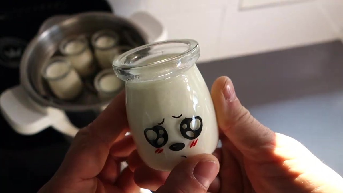 Yaourt au Companion réalisé avec le panier interne