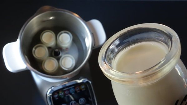 Yaourts au bain marie avec le Companion