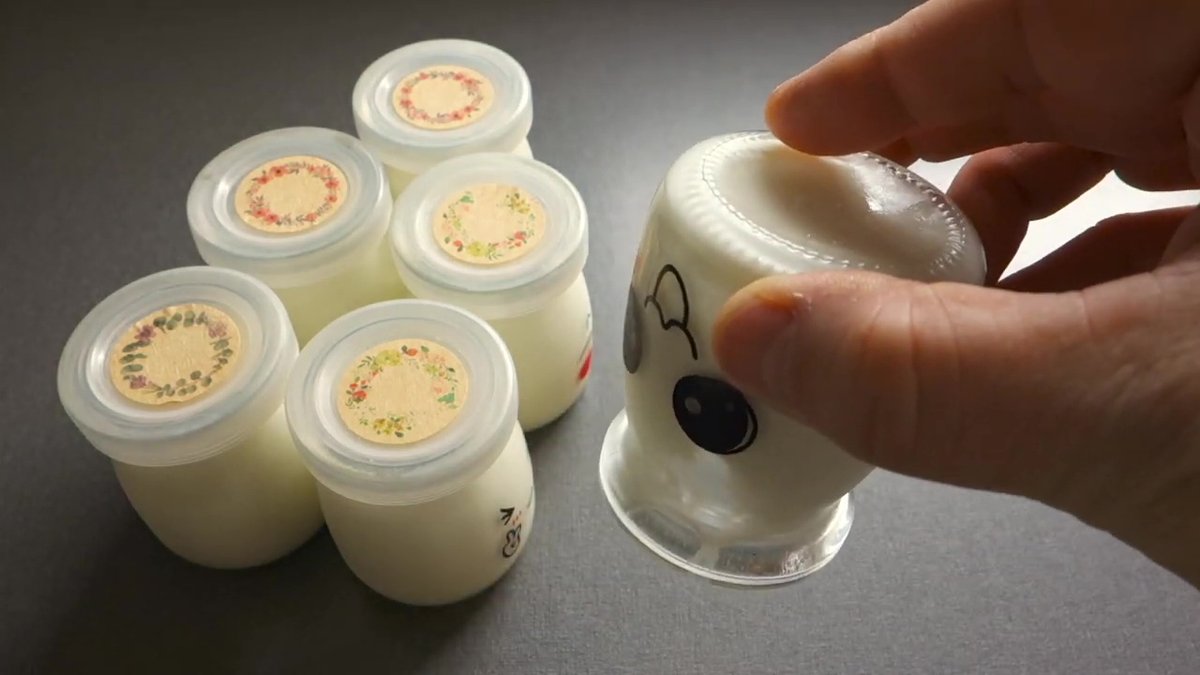 Yaourts au bain marie au Companion