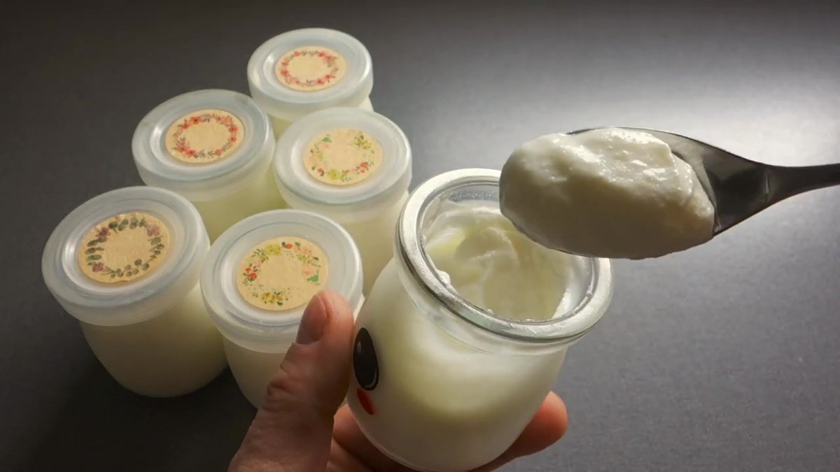 Yaourt au bain marie à la texture crémeuse au Companion