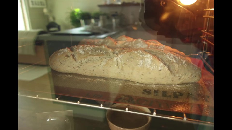 Début de la cuisson, des baguettes en une heure réalisée avec le Companion